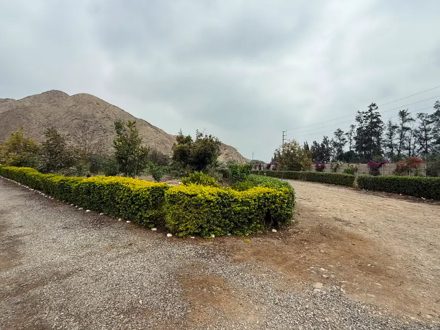 Jardines y áreas verdes de Praderas Costa Azul, con cerros al fondo